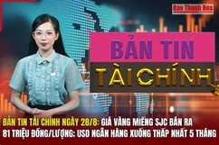 Bản tin Tài chính 28/8: Giá vàng miếng SJC bán ra 81 triệu đồng/lượng; USD ngân hàng xuống thấp nhất 5 tháng