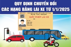 [Infographics] - Quy định chuyển đổi các hạng bằng lái xe từ 1/1/2025