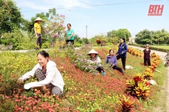 Đẹp làng quê từ phong trào khu dân cư “sáng - xanh - sạch - đẹp - an toàn ở huyện Yên Định