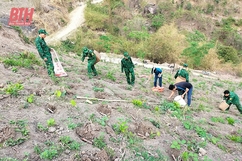 Cho những cánh rừng thêm xanh