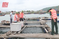 “Đi trước mở đường, đi cùng thực hiện”...