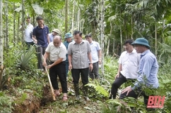 Lang Chánh chủ động phòng, chống sạt lở đất