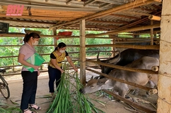 Đồng hành cùng hộ nghèo, gia đình chính sách vươn lên thoát nghèo bền vững