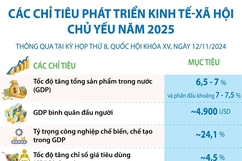 Các chỉ tiêu phát triển kinh tế-xã hội chủ yếu năm 2025