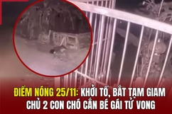 Điểm nóng 25/11: Khởi tố, bắt tạm giam chủ 2 con chó cắn bé gái tử vong