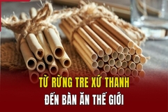 Từ rừng tre xứ Thanh đến bàn ăn thế giới