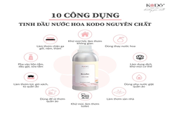 Tinh dầu thơm từ di sản hương đạo Nhật Bản - Kodo