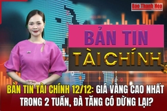 Bản tin Tài chính (12/12): Giá vàng cao nhất trong 2 tuần, đà tăng có dừng lại?