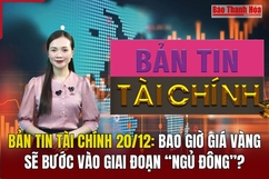 Bản tin Tài chính 20/12: Bao giờ giá vàng sẽ bước vào giai đoạn “ngủ đông”?