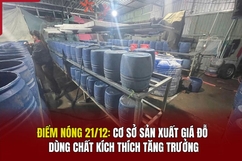 Điểm nóng 21/12: Cơ sở sản xuất giá đỗ dùng chất kích thích tăng trưởng