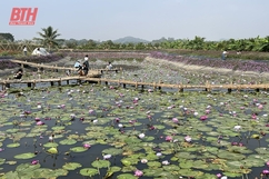 Cơ chế “trói buộc” nông nghiệp - “Xé rào” để đột phá (Bài 2): “Điểm nghẽn”