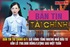 Bản tin Tài chính 6/1: Giá vàng tăng nhưng nhà đầu tư vẫn lỗ 700.000 đồng/lượng sau một tuần