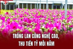 Trồng lan công nghệ cao, thu tiền tỷ mỗi năm