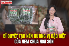 [REVIEW OCOP] - Bí  quyết tạo nên hương vị đặc biệt của nem chua Nga Sơn