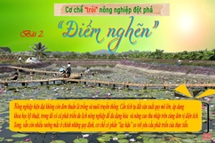 Cơ chế “trói” nông nghiệp đột phá: Bài 2 - “Điểm nghẽn”