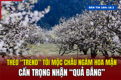 [Bản tin 18h] Theo “trend” tới Mộc Châu ngắm hoa mận, cẩn trọng nhận “quả đắng”