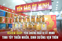 [REVIEW OCOP] Yến chưng ngũ vị Út Minh: Tinh túy thiên nhiên, dinh dưỡng vẹn tròn