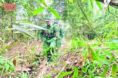 Đánh án ma túy nơi biên giới