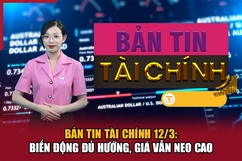 Bản tin Tài chính 12/3: Biến động đủ hướng, giá vẫn neo cao