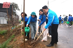 Xung kích, đi đầu trong các phong trào thi đua