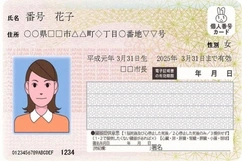 Nhật Bản bắt đầu cấp thẻ căn cước tích hợp thông tin bằng lái xe
