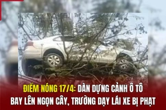 Điểm nóng 17/4: Dàn dựng cảnh ô tô bay lên ngọn cây, trường dạy lái xe bị phạt
