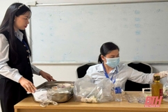 Bảo đảm an toàn thực phẩm tại m m88 khu du lịch biển