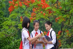 Thủ tướng chỉ đạo 3 vấn đề nóng trong giáo dục