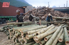 Nhân rộng mô hình HTX hoạt động hiệu quả trên địa bàn huyện Quan Hóa