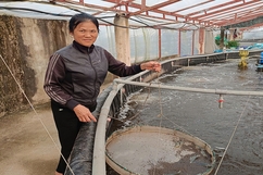 “Chắp cánh” cho những ý tưởng, dự án khởi nghiệp do phụ nữ làm chủ