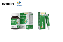 COTRIPro Thái Minh - Giải pháp hỗ trợ điều trị bệnh trĩ hiệu quả