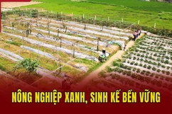 Nông nghiệp xanh, sinh kế bền vững