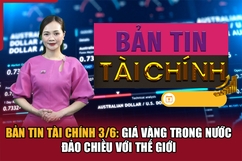 Bản tin Tài chính 3/6: Giá m m88 trong nước đảo chiều với thế giới