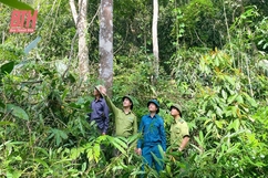 Giữ rừng dựa vào cộng đồng