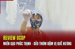 [REVIEW OCOP] Miến gạo Phúc Thịnh - Sợi miến dẻo dai, hương quê đậm đà
