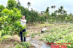 Sống “tốt đời, đẹp đạo” trong đồng bào công giáo huyện Nga Sơn