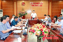 Đẩy nhanh giải phóng mặt bằng, bố trí tái định cư trong triển khai đường sắt tốc độ cao
