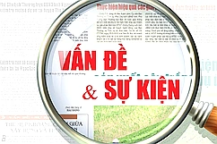 Mệnh lệnh phát triển