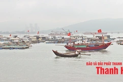 “Văn hóa dân gian biển, đảo xứ Thanh như chất men say ngấm vào đời tôi”...