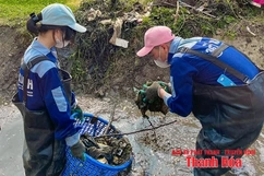 Vẽ bức tranh đẹp về tuổi trẻ giàu khát vọng