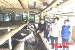 Đồng hành cùng người nghèo