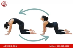 Tập các bài yoga chữa đau lưng vai gáy cùng A Quang Kegel