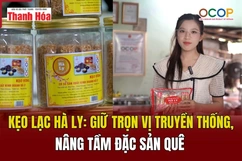 [REVIEW OCOP]  Kẹo lạc Hà Ly: Giữ trọn vị truyền thống, nâng tầm đặc sản quê
