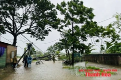 Phường Nam Sầm Sơn: Khẩn trương khắc phục hậu quả do mưa bão gây ra
