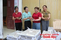 Nhân lên những mô hình an toàn thực phẩm