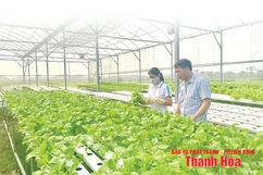 Ứng dụng công nghệ trong chuỗi cung ứng nông sản an toàn