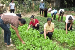 Hỗ trợ, giúp đỡ hội viên phụ nữ phát triển sản xuất, giảm nghèo