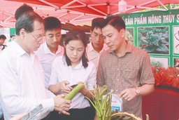 Hội nghị kết nối cung cầu, giới thiệu sản phẩm nông sản, thực phẩm an toàn