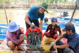 Ngành tôm với áp lực nguồn cung tăng