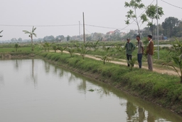 Đảng bộ xã Quảng Giao phát huy vai trò lãnh đạo xây dựng nông thôn mới